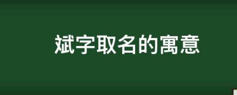 斌字取名的寓意（斌字取名的寓意和含义）