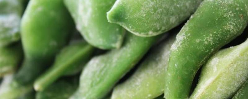 九月青豆角产自哪个村（九月青豆角产自哪个村子）