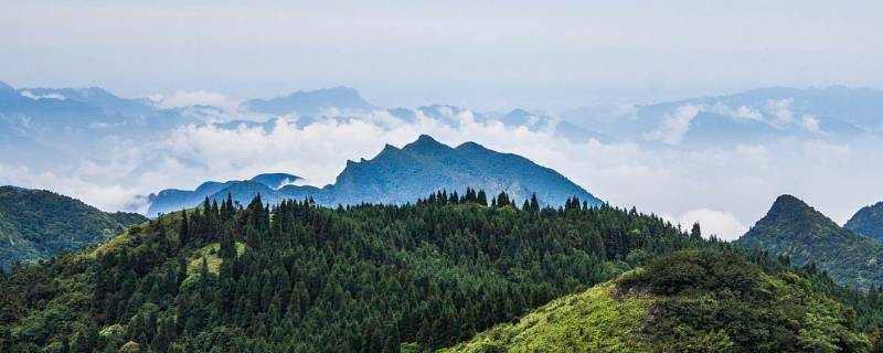 武陵山海拔高度多少米（武陵山海拔有多高）