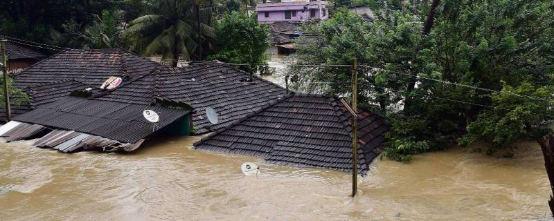 第一二三天灾是什么 第一第二第三天灾是什么