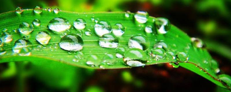 10月份晚上有露水吗 10月份几点有露水