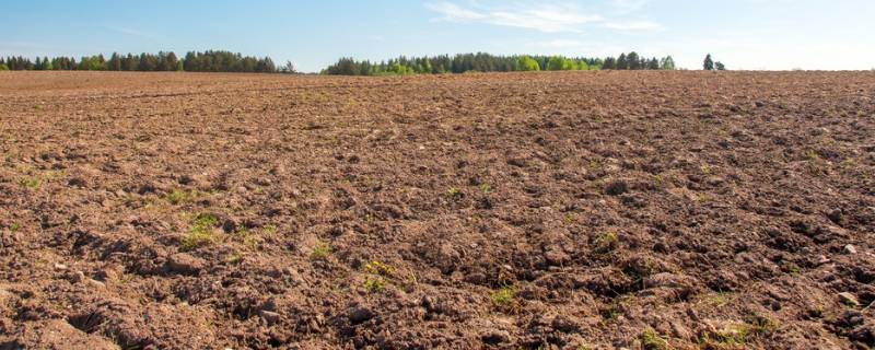 15亩地有多大 15亩地有多大图片