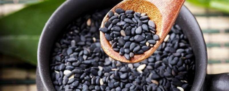 生芝麻可不可以直接食用 生芝麻为什么不能直接吃