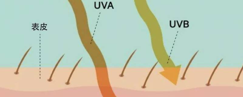 uvb是什么意思啊 Uvb是什么