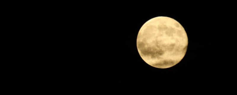 月交衣是什么 月交衣是什么意思