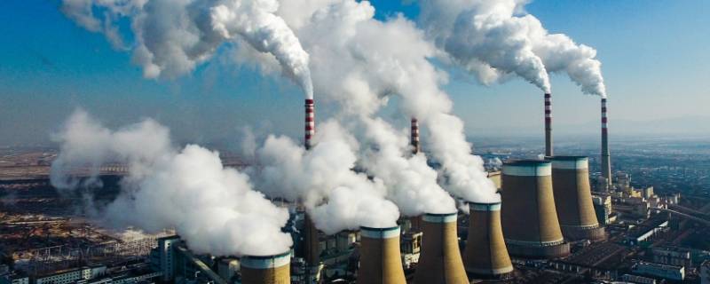 什么是生态灾难（什么是生态灾难举一个例子）