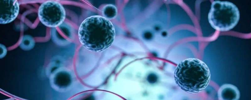 组织间隙是指哪里 组织间隙的概念