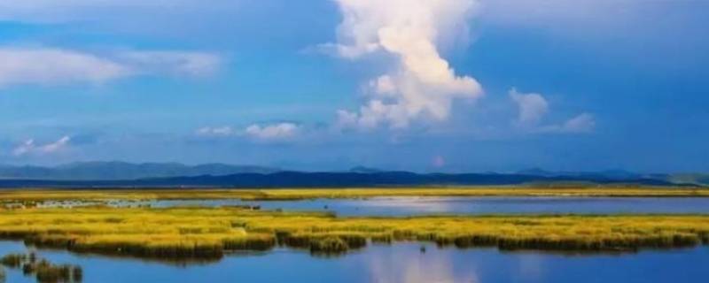 花湖海拔（甘南花湖海拔）