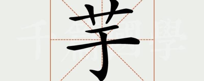 芋字取名的寓意是什么（芋字的名字）