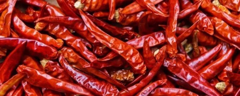 怎样晒干辣椒又红又亮 怎么晒干辣椒颜色最红
