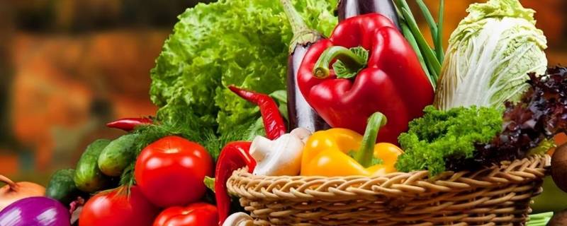 什么是蔬菜（什么是蔬菜细胞壁的主要成分）