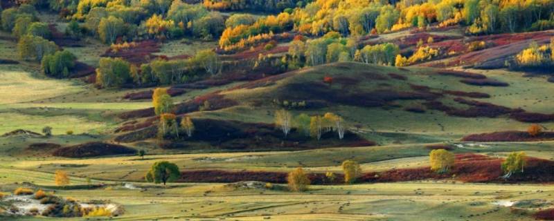 乌兰布统海拔多少米 乌兰布统海拔多高