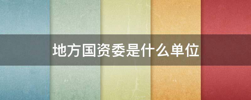 地方国资委是什么单位（国资委下属单位）