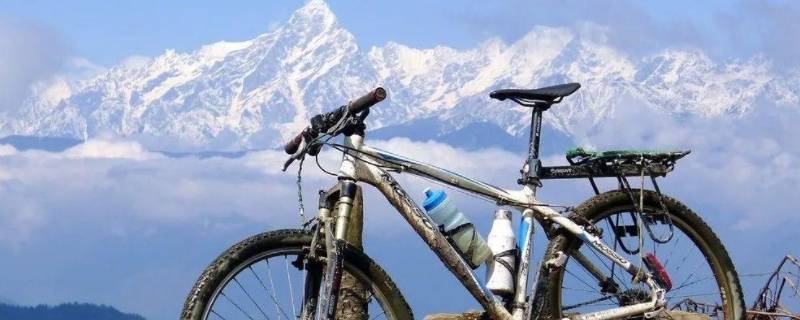 碳刀是什么（公路车碳刀是什么）