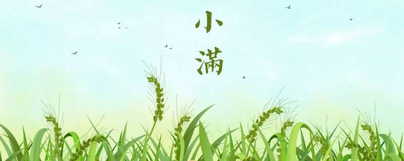 小满说说 小满说说心情