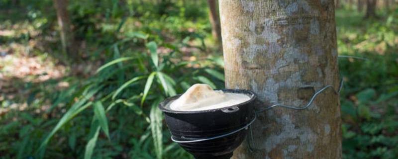 橡胶的密度（丁腈橡胶的密度）