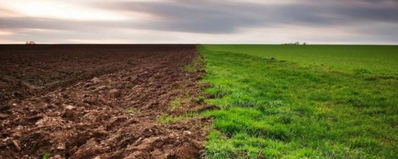 泥土的作用 泥土的作用教案中班