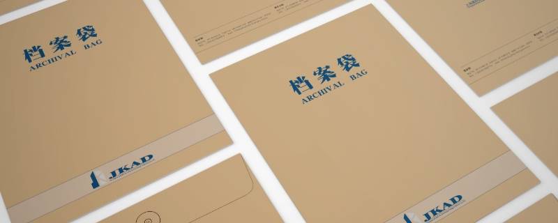 档案能放在自己手中吗（档案能放到自己手里吗）