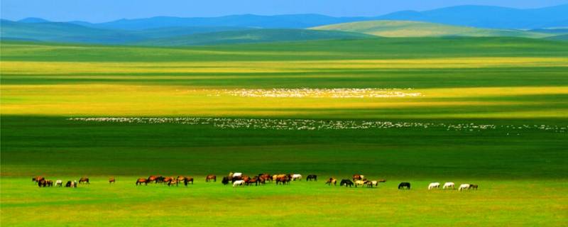呼和浩特附近的草原有哪些 呼和浩特周围有草原吗