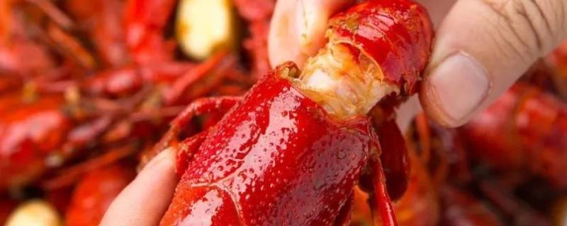 小龙虾肉质松散是什么原因（小龙虾肉质松散是什么原因有什么寄生虫）