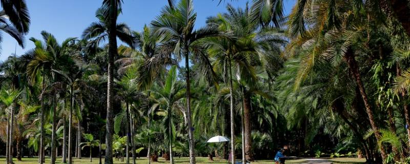 中国热带地区有哪些 中国热带地区有哪些未开发的地方