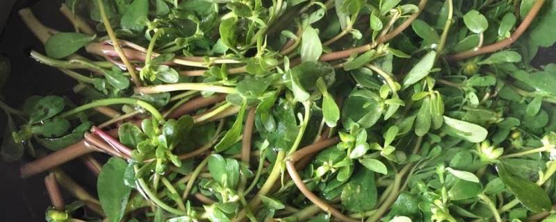 服务提升的办法和措施 服务提升的办法和措施PPT