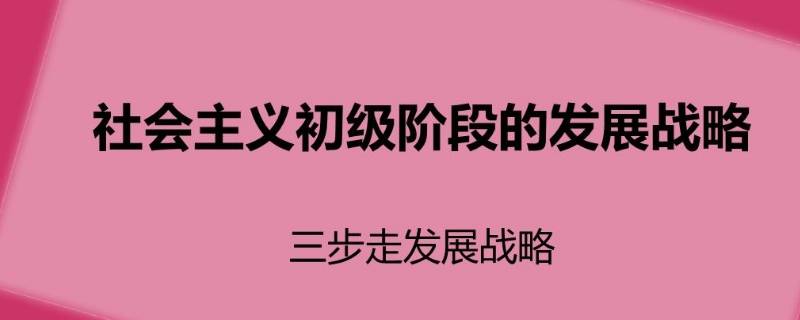 三步走是指 国家制度建设的总体目标三步走是指