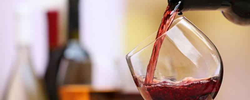 红酒知识入门（红酒知识入门可以关注）