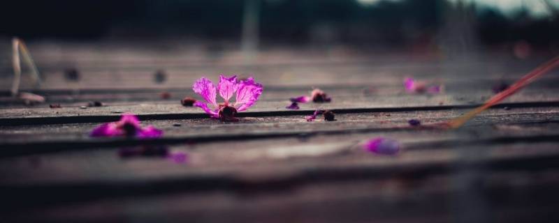 非主流是几几年开始的（非主流在几几年）