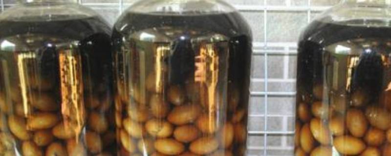 泡黄皮酒要去核吗 黄皮果浸酒