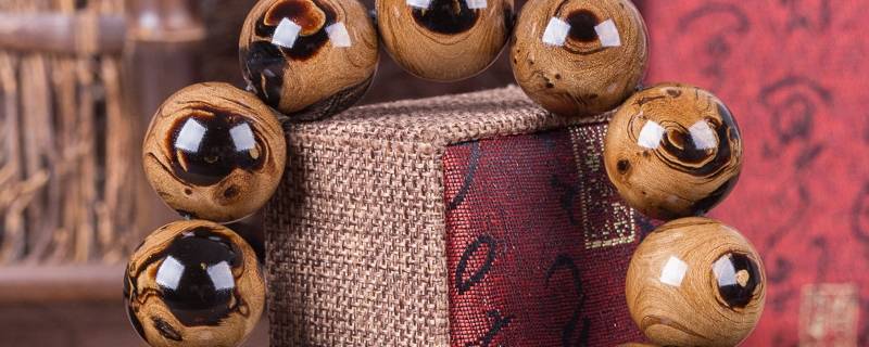 海柳怎么看是死柳还是活柳（海柳是什么?）