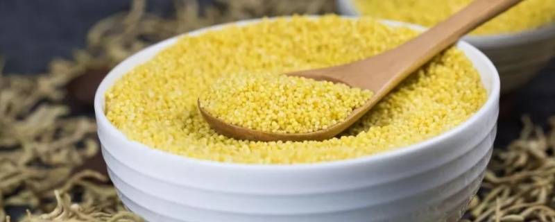 性寒凉的食物有哪些（凉性寒性的食物有哪些）