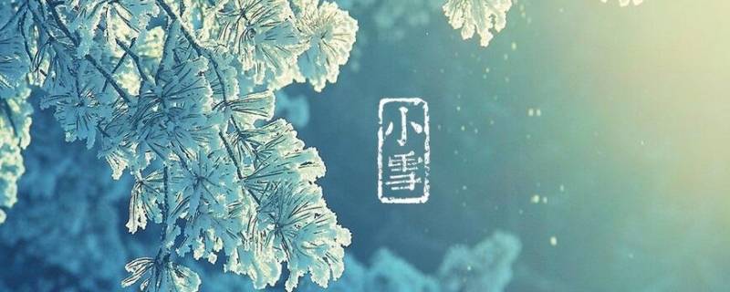 小雪代表什么 小雪代表什么数字