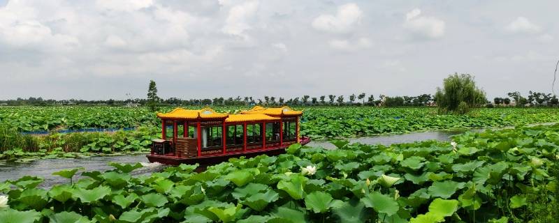 金湖县景点（金湖县风景区）