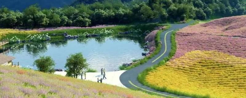 塔城市景点（塔城市景点有哪些）