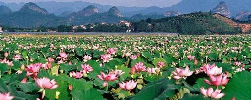 广昌县景点 广昌县景点介绍