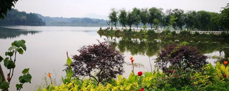 名山区景点 名山区旅游