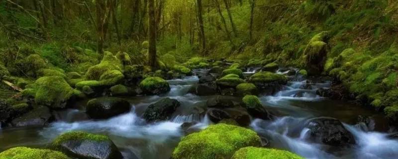 桦川县景点 桦川县好玩的地方