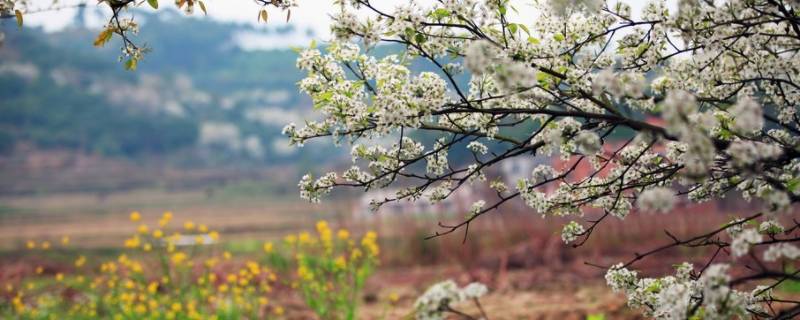钦北区景点 钦南区景点