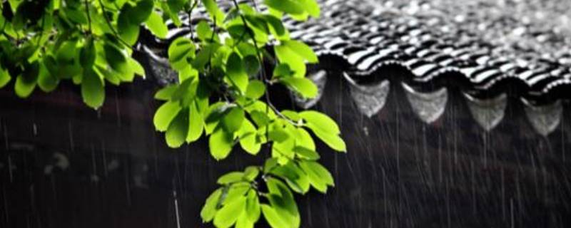 几月份是梅雨季节（每年几月份是梅雨季节）