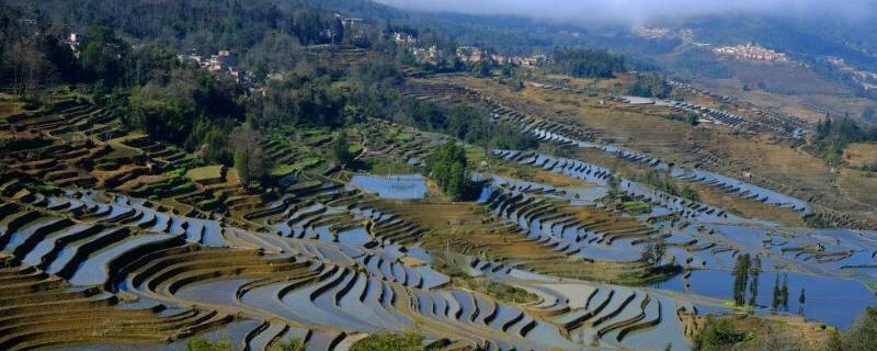 元阳县景点（元阳县有什么景点）