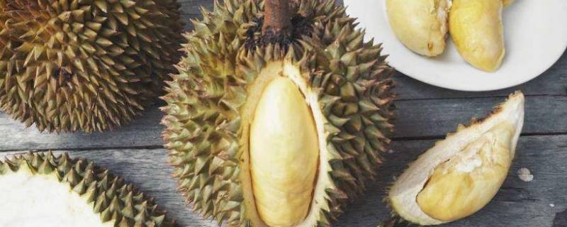 榴莲熟了可以放几天 榴莲熟透后能放几天