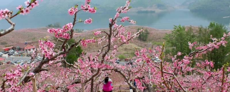 河口景点 河口景点最值得去的地方