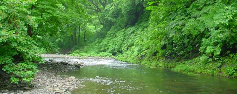 南涧景点（南涧景点有哪些）