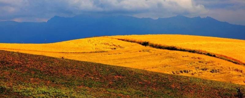 沙雅县景点 沙雅县旅游景点