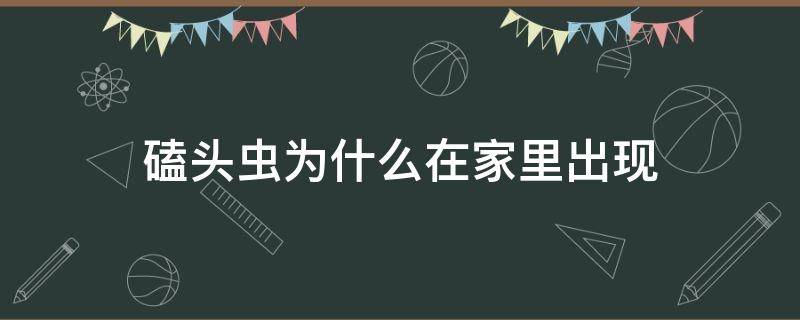 磕头虫为什么在家里出现（家里磕头虫是从哪里进来的）