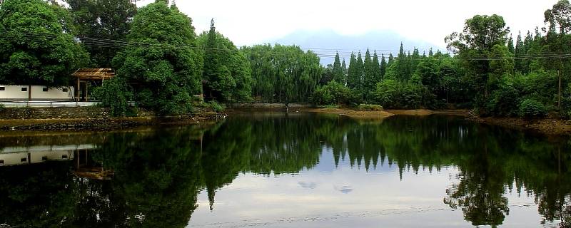 绵竹市景点 绵竹市景点年画村