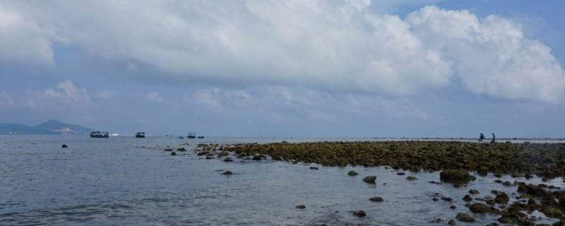 东海县景点（东海县景点排名榜）