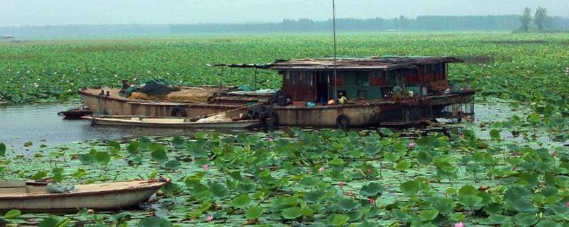 金乡县景点（金乡县景点宣传视频）