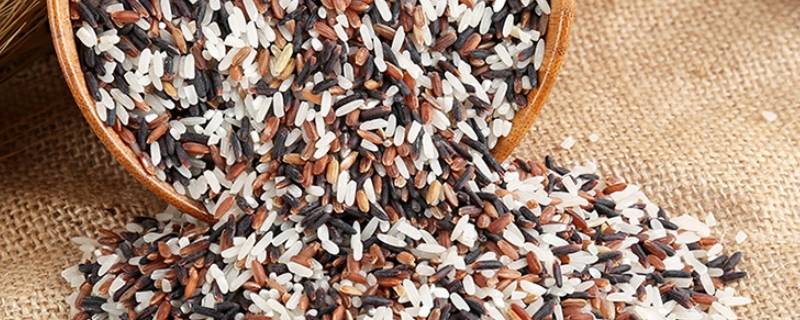 三色米饭是哪三种 三色米饭是哪三种红米黄米和紫米